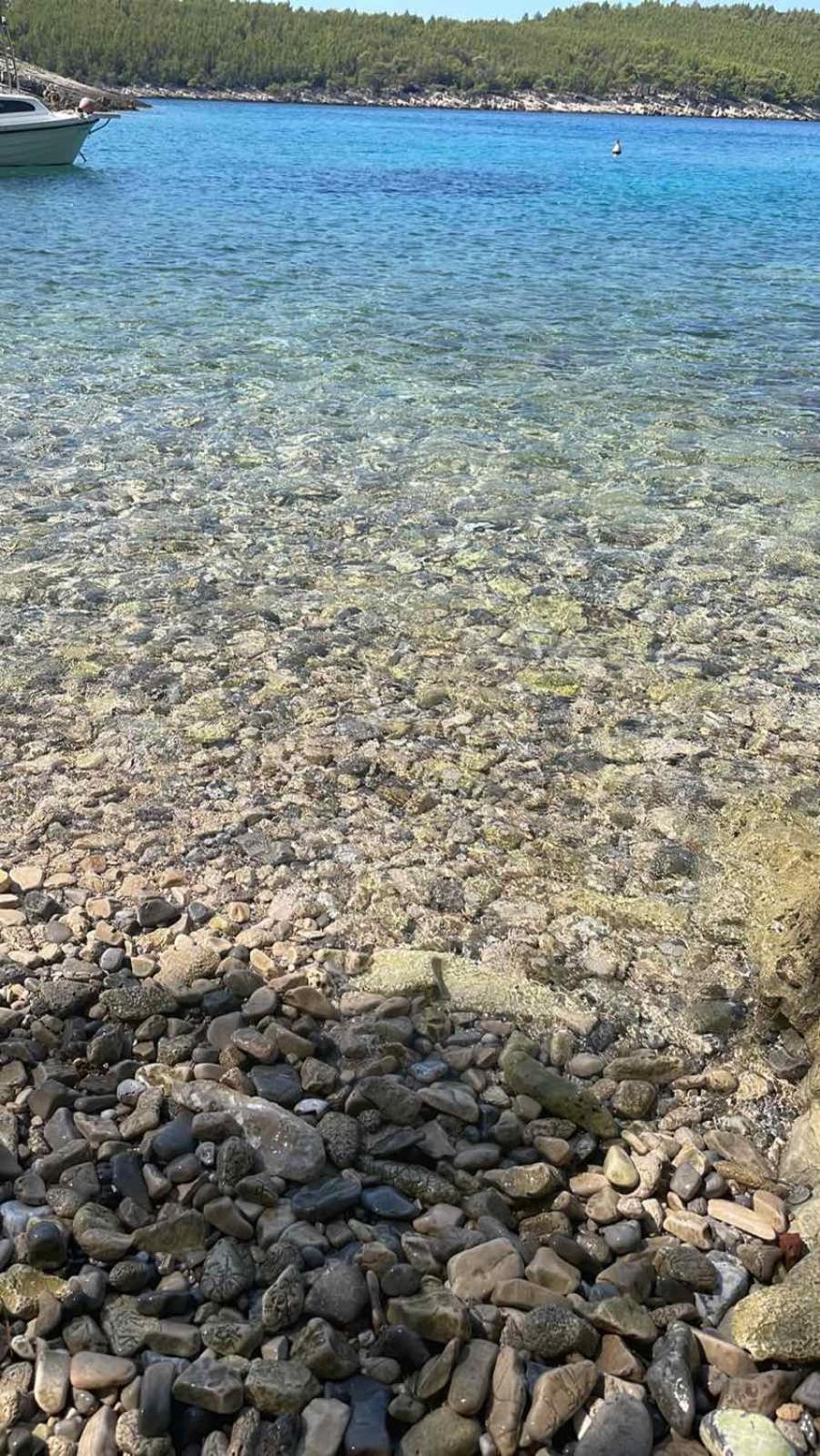 Villa Terra Nostra Hvar Hvar Town Bagian luar foto